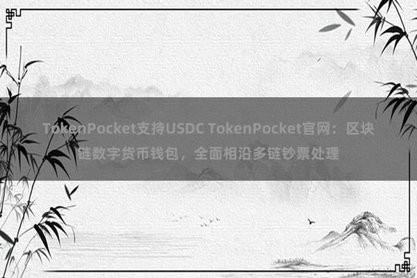 TokenPocket支持USDC TokenPocket官网：区块链数字货币钱包，全面相沿多链钞票处理